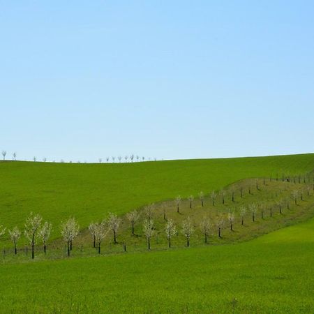 Moravske Toskansko Stavesice エクステリア 写真