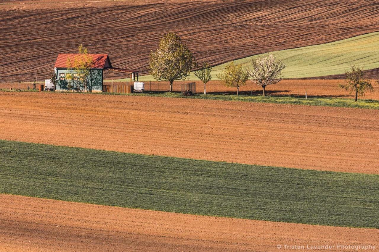 Moravske Toskansko Stavesice エクステリア 写真