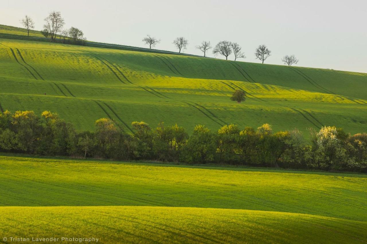 Moravske Toskansko Stavesice エクステリア 写真