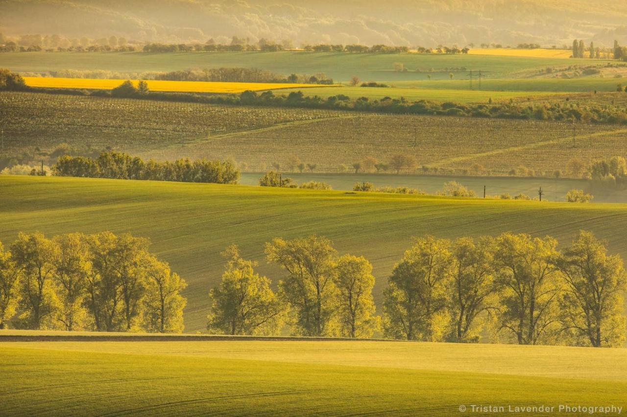 Moravske Toskansko Stavesice エクステリア 写真