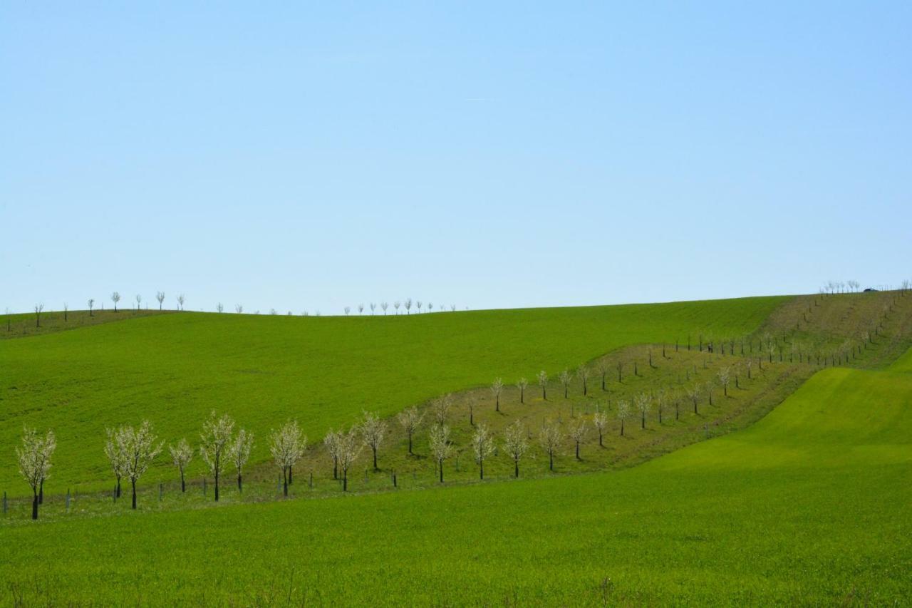 Moravske Toskansko Stavesice エクステリア 写真